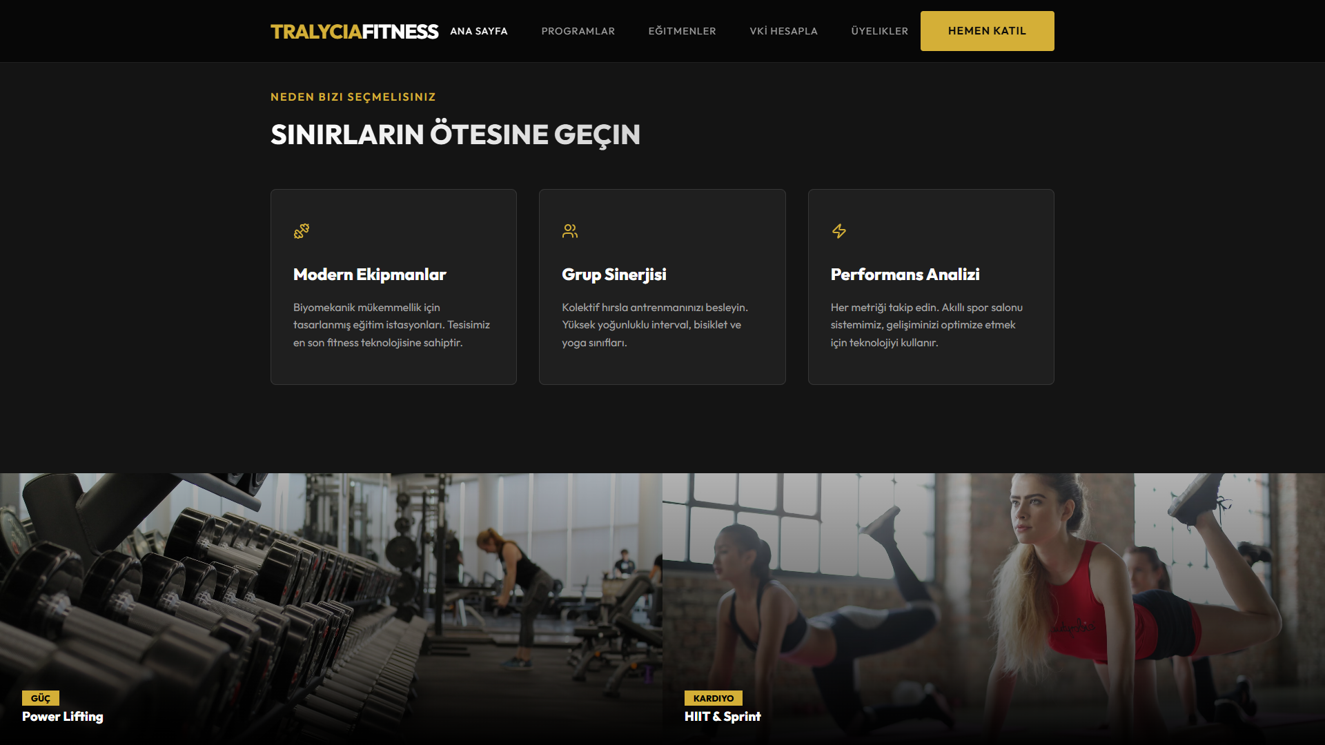 Tralycia Fitness şablon ekran görüntüsü 2