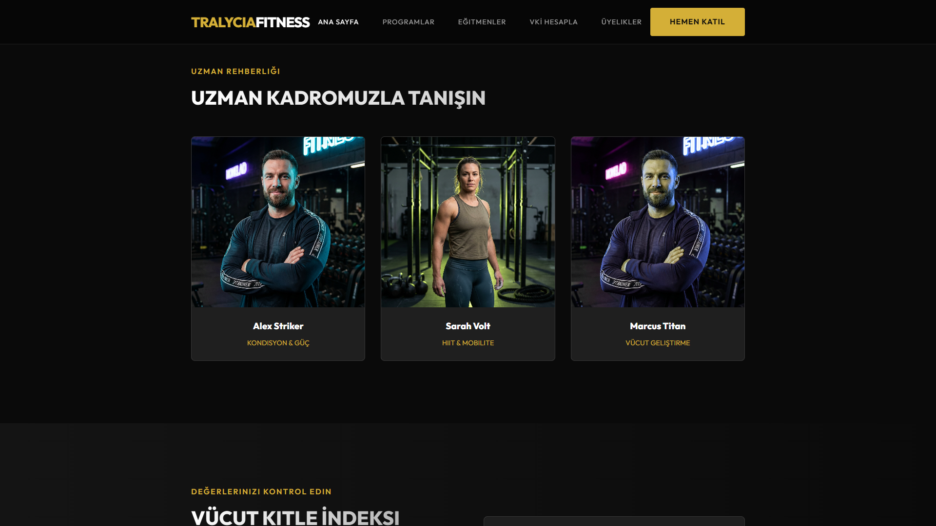 Tralycia Fitness şablon ekran görüntüsü 3